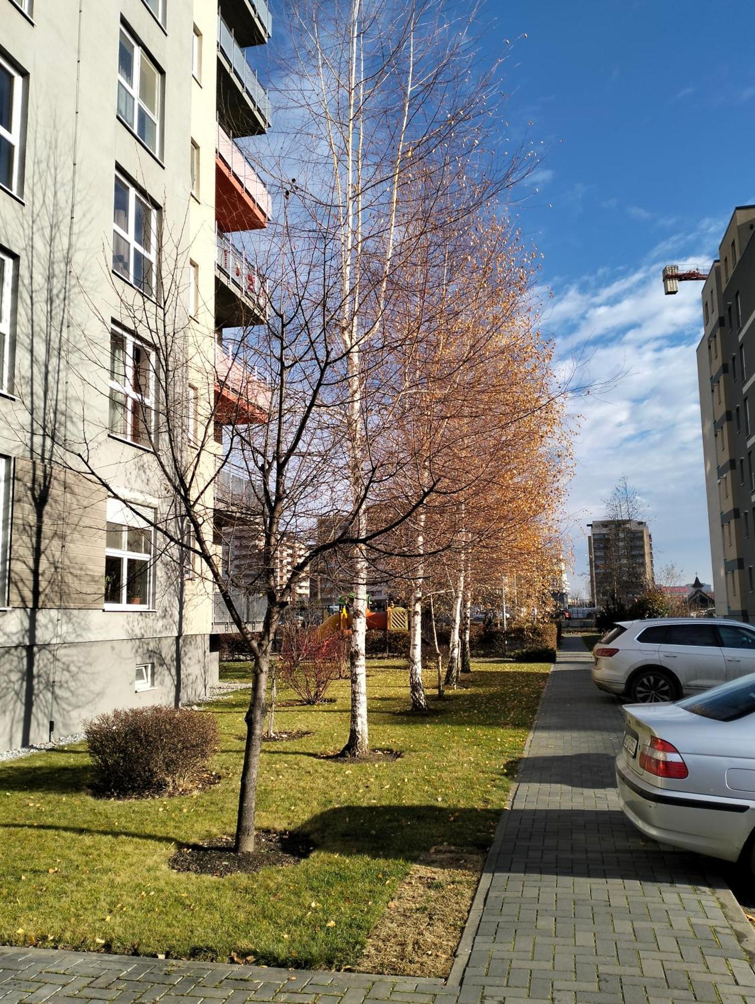 M&I Dream Stay Braşov Buitenkant foto